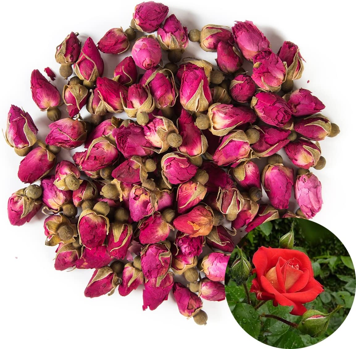 Rose buds