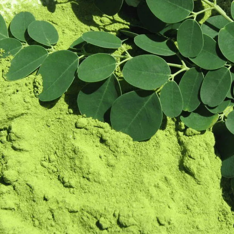 Moringa Powder